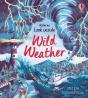 Look Inside Wild Weather - Preview