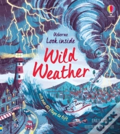 Capa do artigo Look Inside Wild Weather