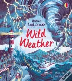 Capa do artigo Look Inside Wild Weather