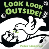 Look Look Outside