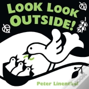 Capa do artigo Look Look Outside
