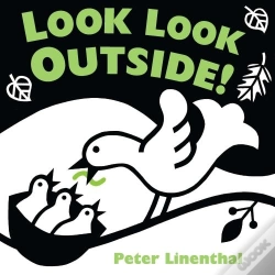 Capa do artigo Look Look Outside