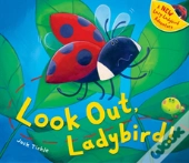 Look Out Ladybird