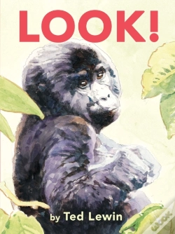 Capa do artigo Look!