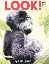 Look!