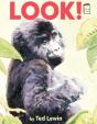 Look! - Preview