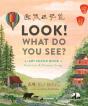 Look! What Do You See? - Preview