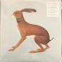Lookaftering - Expanded Edition - Vinil - Preview