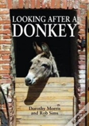 Capa do artigo Looking After A Donkey