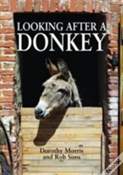 Capa do artigo Looking After A Donkey