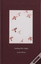 Looking After Angels