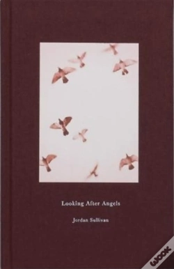 Capa do artigo Looking After Angels