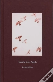 Capa do artigo Looking After Angels
