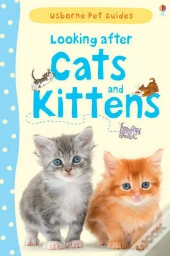 Looking After Cats And Kittens