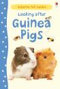 Looking After Guinea Pigs - Preview