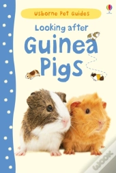 Looking After Guinea Pigs