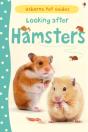 Looking After Hamsters - Preview