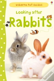 Capa do artigo Looking After Rabbits