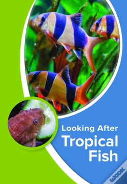 Capa do artigo Looking After Tropical Fish