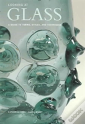 Capa do artigo Looking At Glass