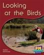 Looking At The Birds - Preview
