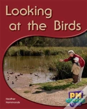 Capa do artigo Looking At The Birds