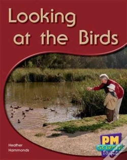 Capa do artigo Looking At The Birds