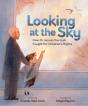 Looking At The Sky - Preview