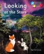 Looking At The Stars - Preview