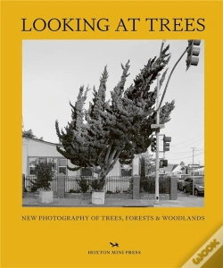 Capa do artigo Looking At Trees