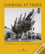 Capa do artigo Looking At Trees
