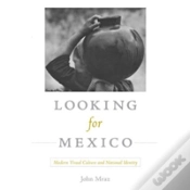 Capa do artigo Looking For Mexico