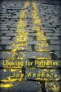 Looking For Potholes - Preview