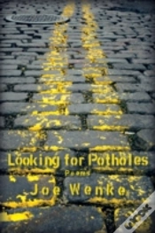 Capa do artigo Looking For Potholes