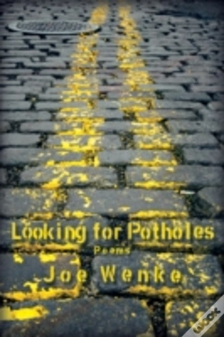 Capa do artigo Looking For Potholes