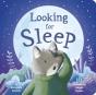 Looking For Sleep - Preview