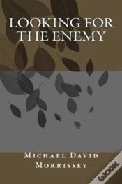 Capa do artigo Looking For The Enemy