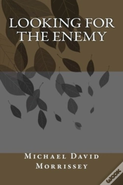 Capa do artigo Looking For The Enemy
