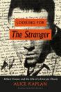 Looking For The Stranger - Preview