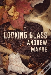 Capa do artigo Looking Glass