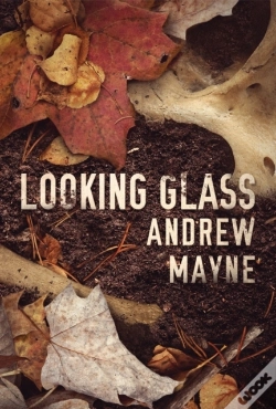 Capa do artigo Looking Glass
