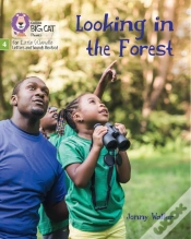 Capa do artigo Looking In The Forest
