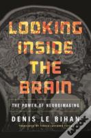 Looking Inside The Brain