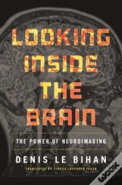 Capa do artigo Looking Inside The Brain
