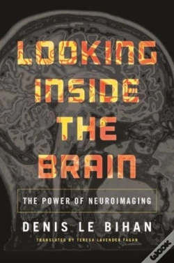 Capa do artigo Looking Inside The Brain