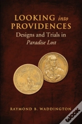 Looking Into Providences