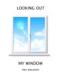 Looking Out My Window - Preview