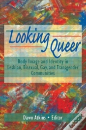 Capa do artigo Looking Queer