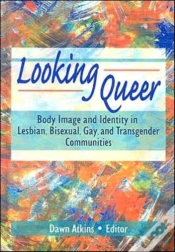 Capa do artigo Looking Queer