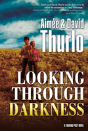 Looking Through Darkness - Preview